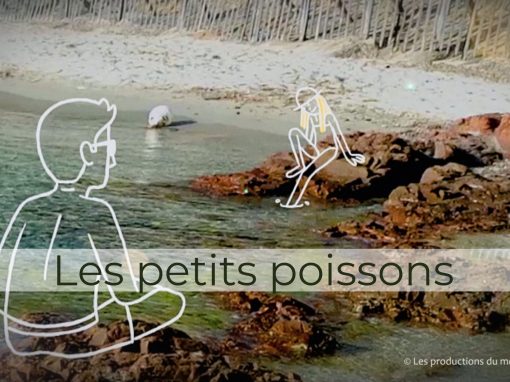 Noémie – Les petits poissons