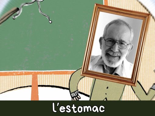 Barry J. Marshall et Robin Warren et l’ulcère à l’estomac