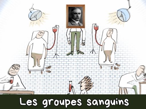Karl Landsteiner et les groupes sanguins