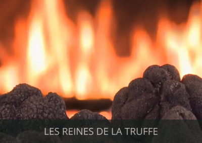 Les reines de la truffe