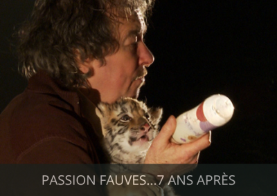 Passions fauves… 7 ans après