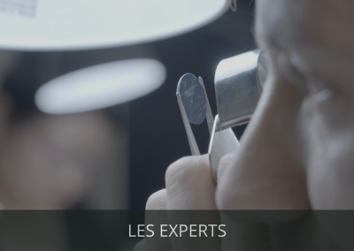 les experts