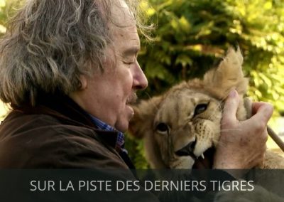 SUR LA PISTE DES DERNIERS TGRES