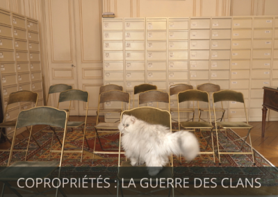 COPROPRIÉTÉS : LA GUERRE DES CLANS